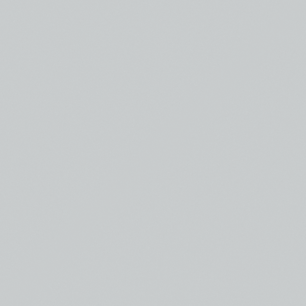 NP N 3106P-Boeing Gray