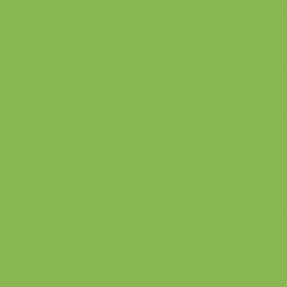 NP BGG 1666A-Green Tuft