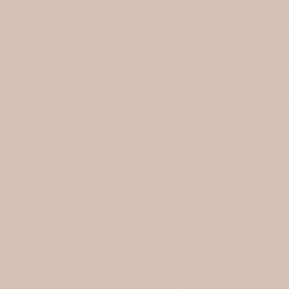 NP N 3168P-Taupe Trophy