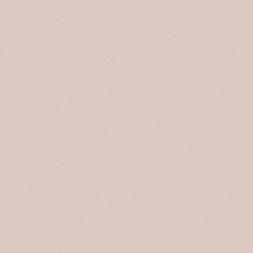 NP N 3167P-Muted Nude