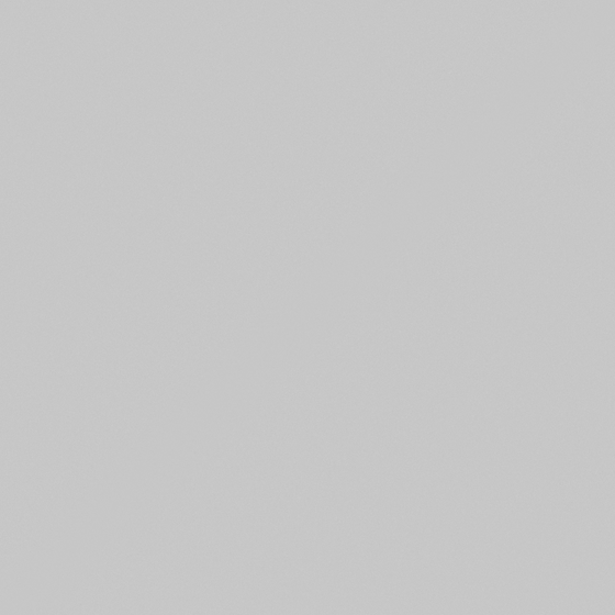 NP N 3005P-Silver Needle