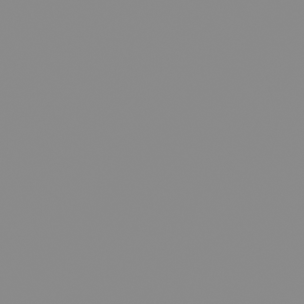 NP N 3007D Brooding Gray