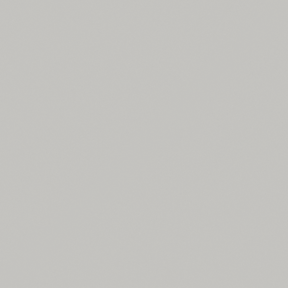 NP N 3018P-Badge of Honour