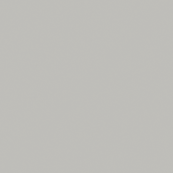 NP N 2041P-Gray Ashes