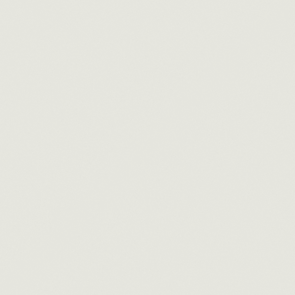 NP N 3021P-Silver Lining