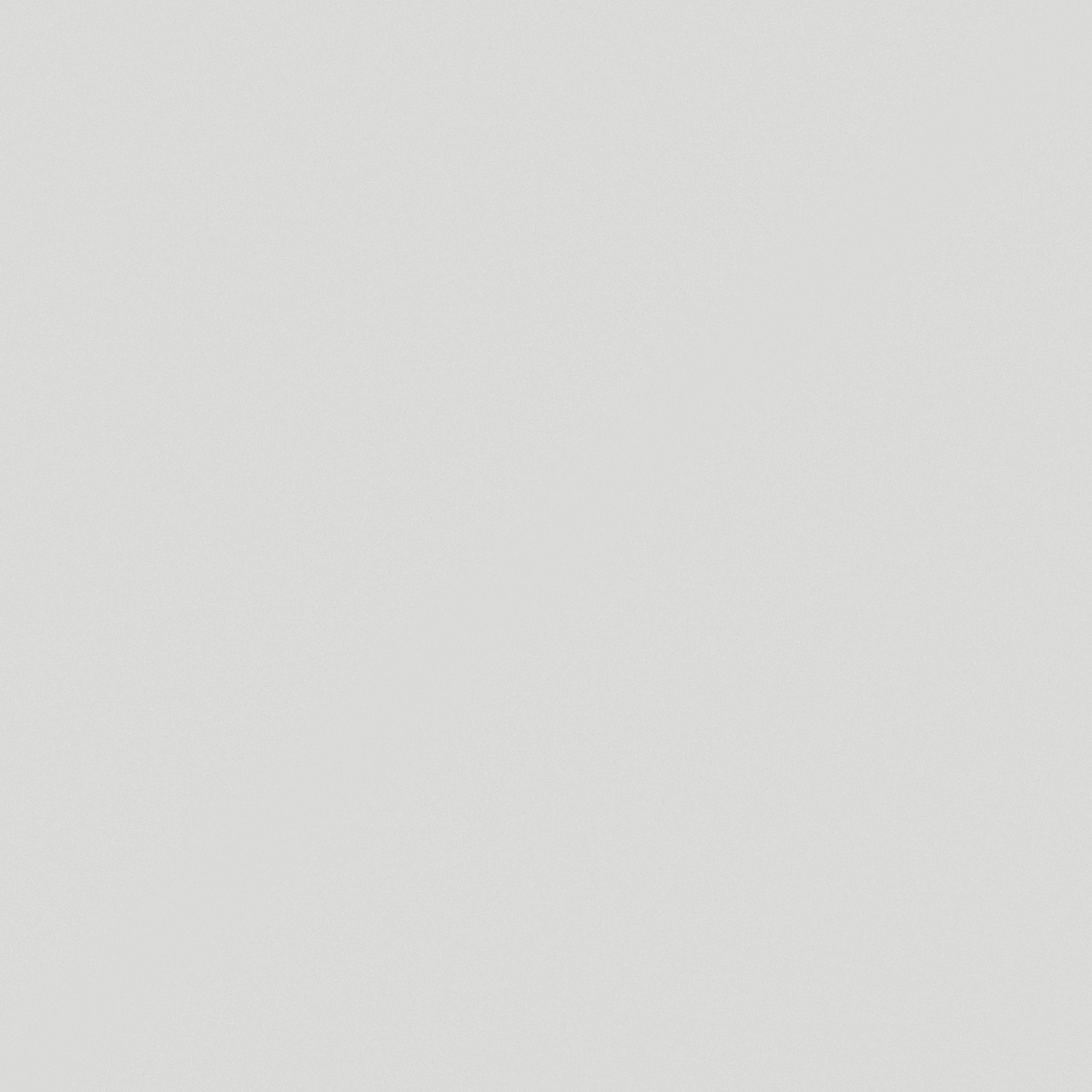 NP N 2984P-Nitro Gray