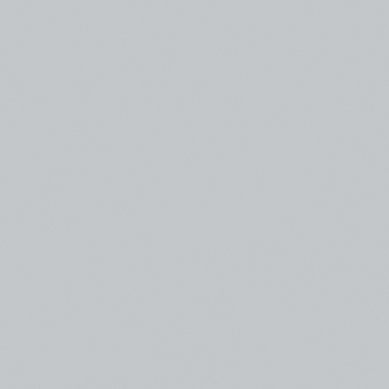 NP N 2992P-Cool Gray