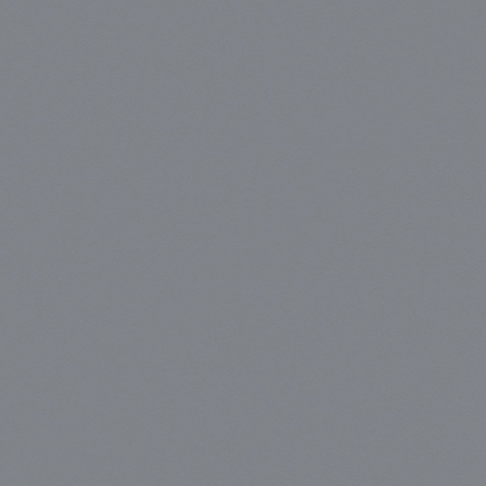 NP N 2989D-Empire Gray