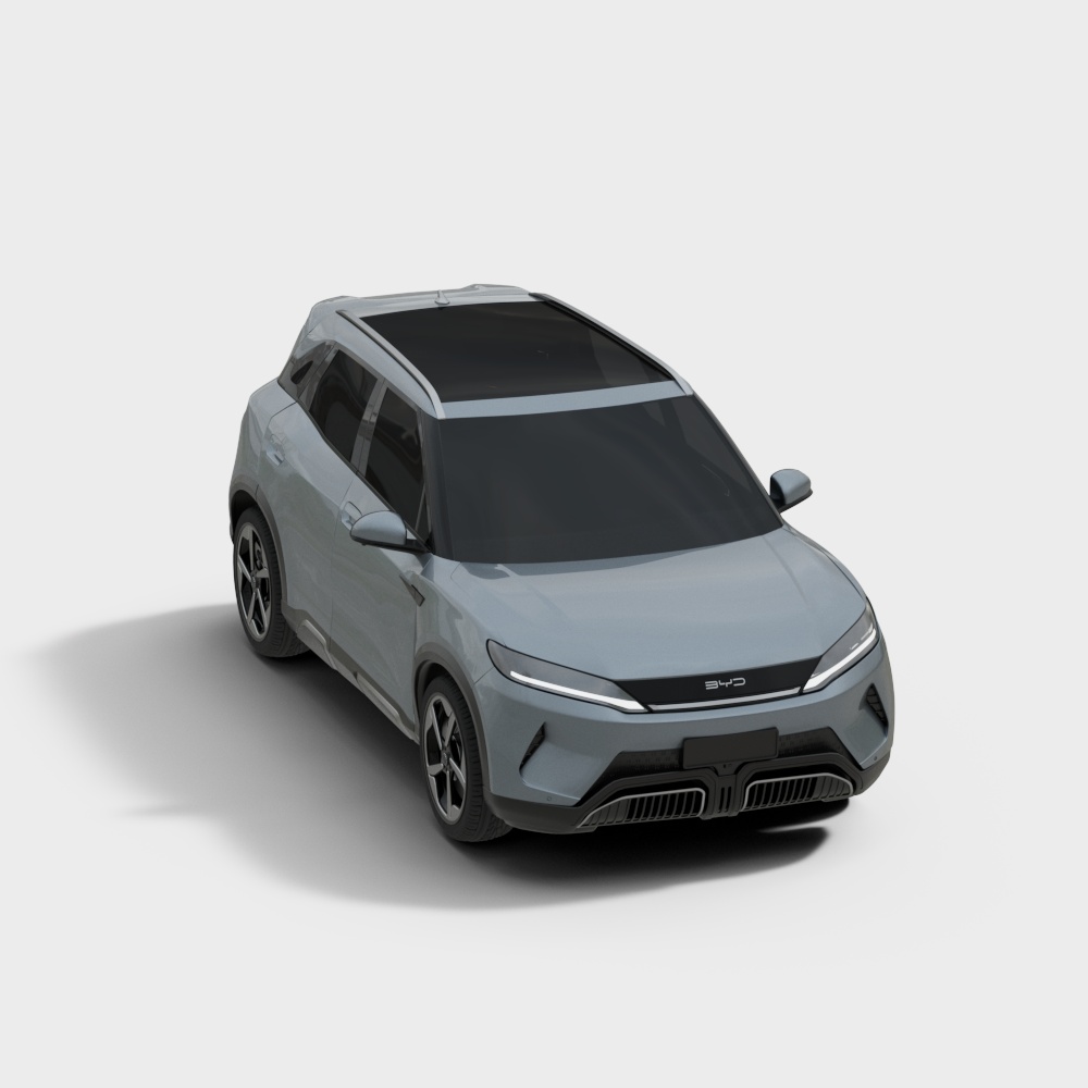 Vehicle – BYD Car