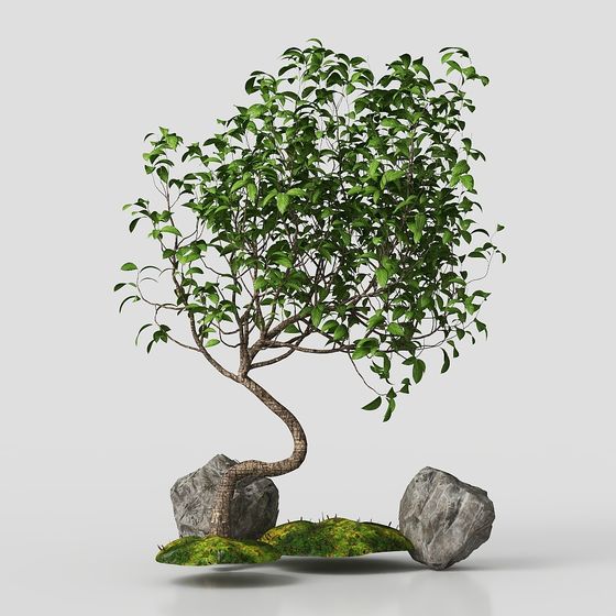Twisted Bonsai Masterpiece 3D model
