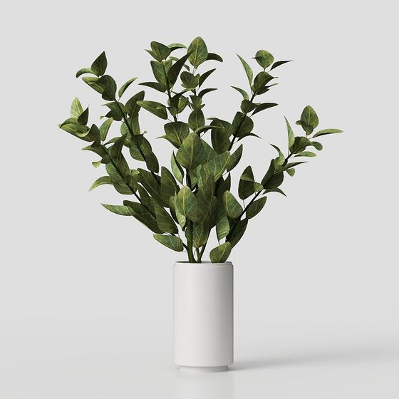 Desktop Plant – Modern Greenery Decor