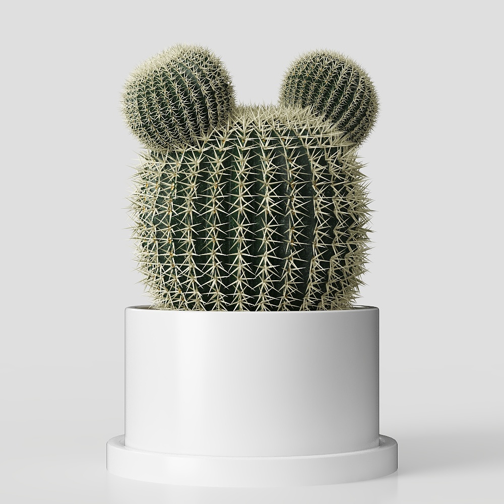 Desktop Plant – Modern Potted Plant