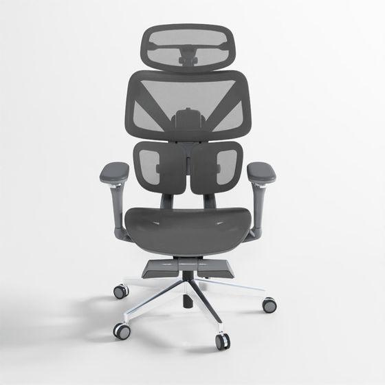 Ghế Văn Phòng Chống Mỏi Axis Ergo_Core_Copy