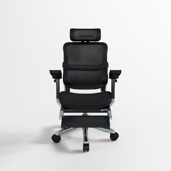 Ergonomic Office Chair 3D model