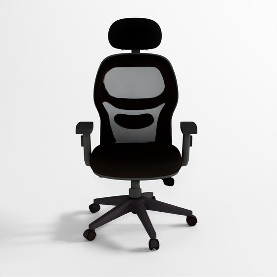Executive Ergonomic Chair 3D model