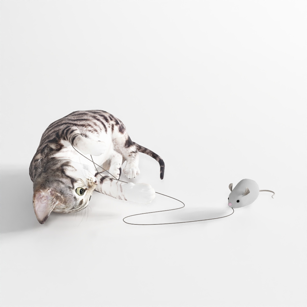 Hoạt Hình Mèo 18 – Mèo Con Chơi Chuột