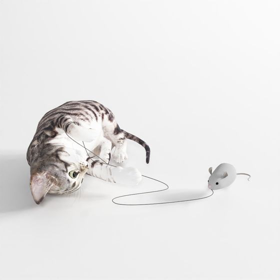 고양이 애니메이션 18 – 쥐와 노는 새끼 고양이