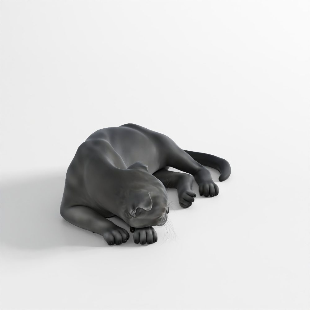 แมว – ท่าทางที่ 17