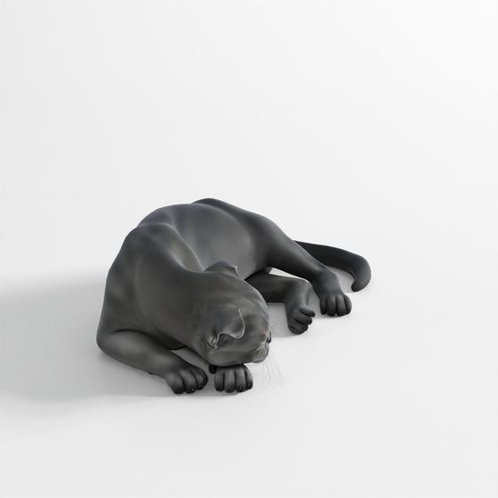 แมว – ท่าทางที่ 17