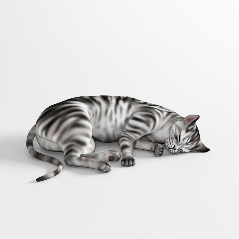 แมว – การเคลื่อนไหว 16