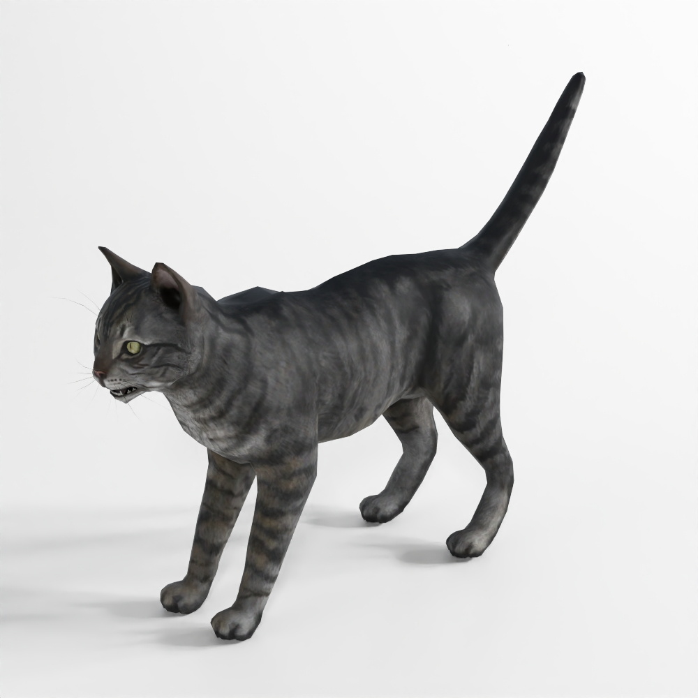 Movimento del Gatto 4