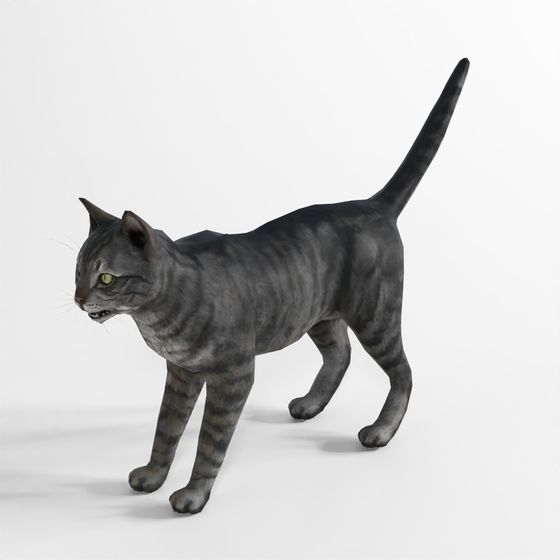 Movimento del Gatto 4