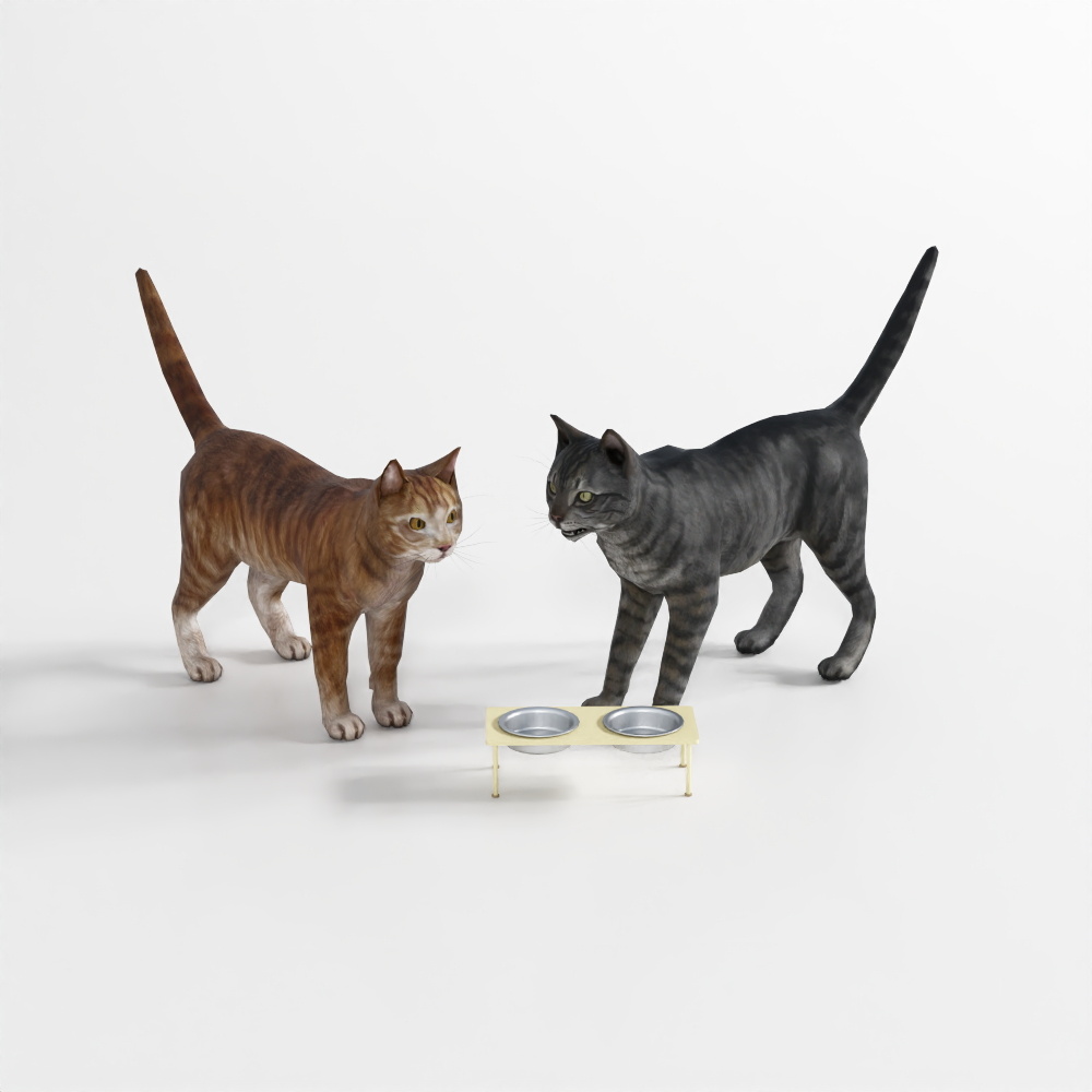 Gatto - Posizione 12