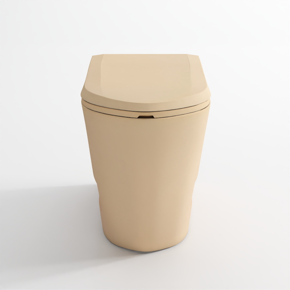 Rimless Concealed Wall-Hung Toilet - Beige Matte