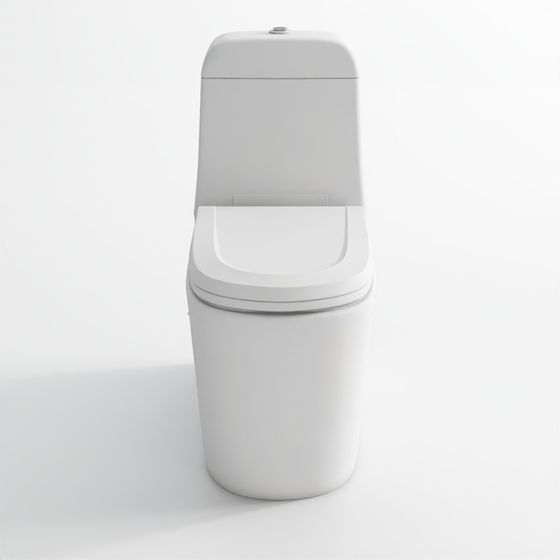 Rimless Bowl with Cistern