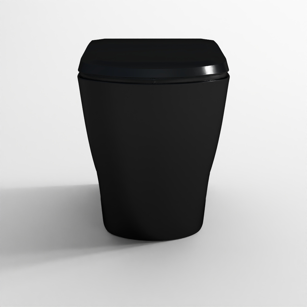 Rimless Blind Installation Wall Hung WC - Black Matt