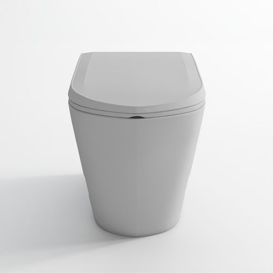 Rimless Blind Installation Wall Hung WC - Grey Matt