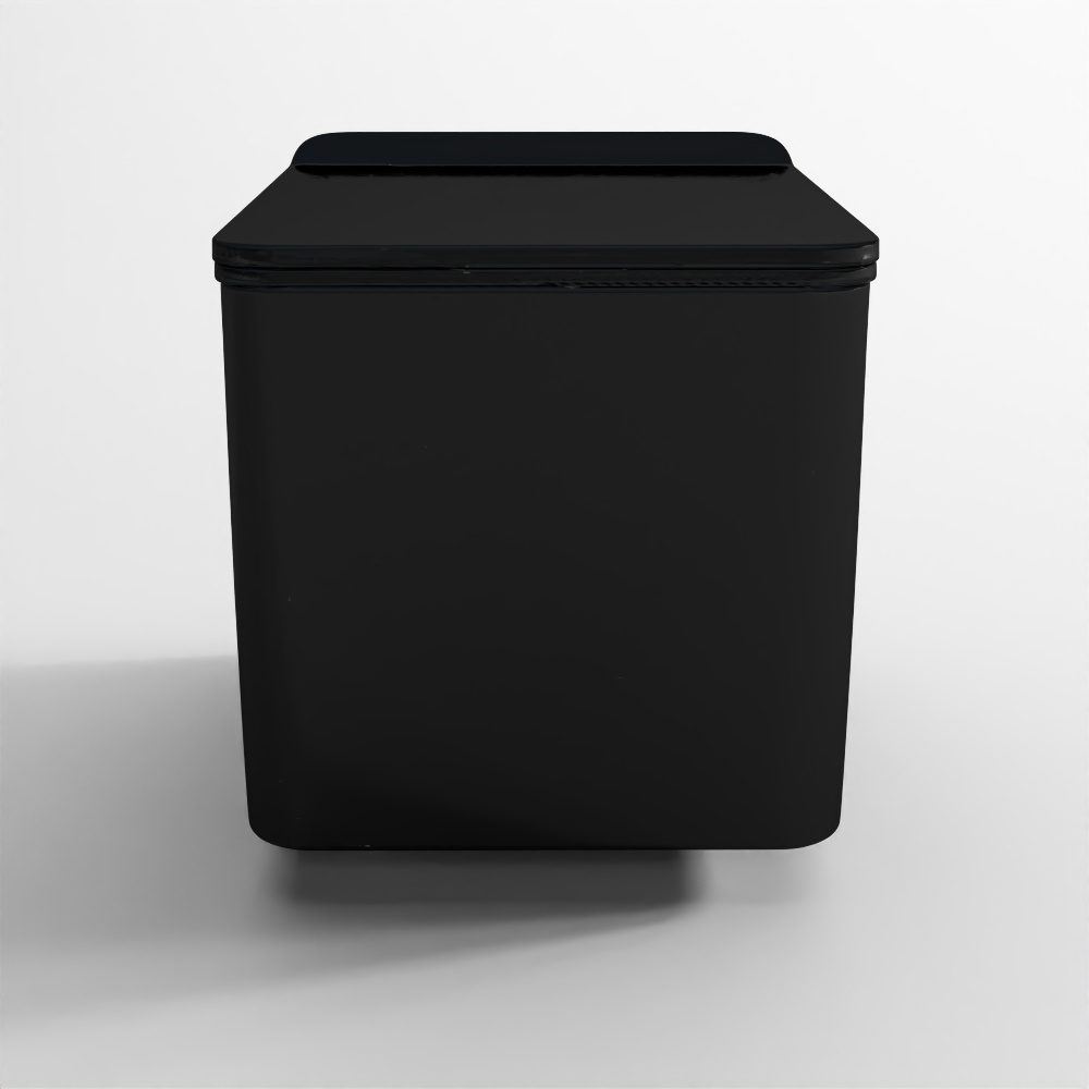 Rimless Blind Installation Wall Hung WC - Black Matt