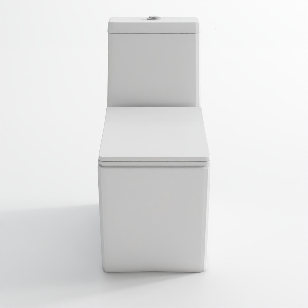 Rimless bowl with cistern