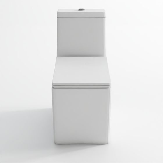 Rimless bowl with cistern