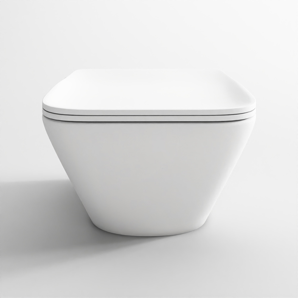Rimless Wall-Hung Toilet with Concealed Installation