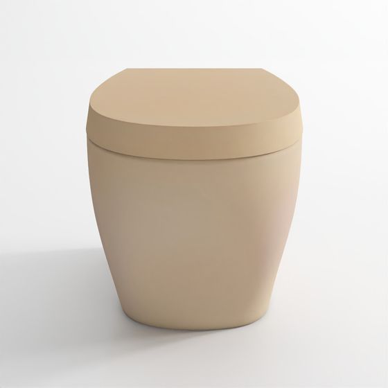 Rimless Concealed Wall-Hung Toilet - Beige Matte