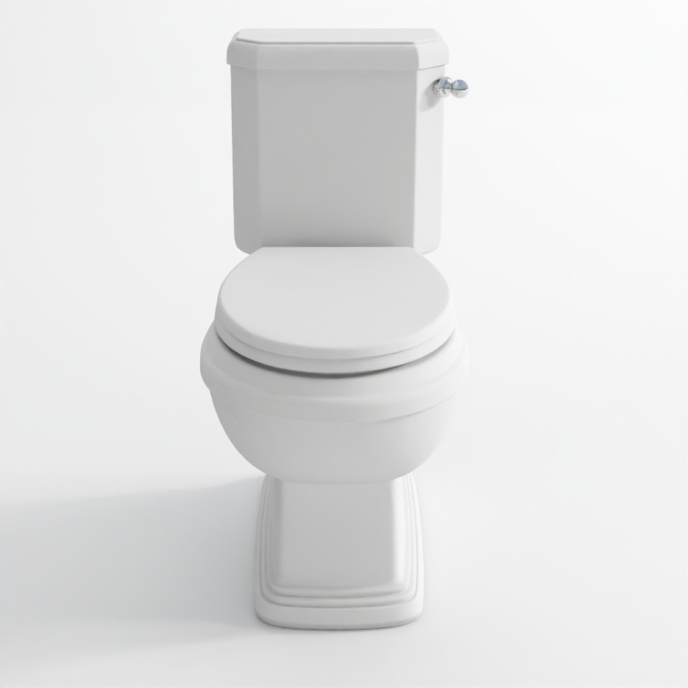 Rimless bowl with side flush cistern