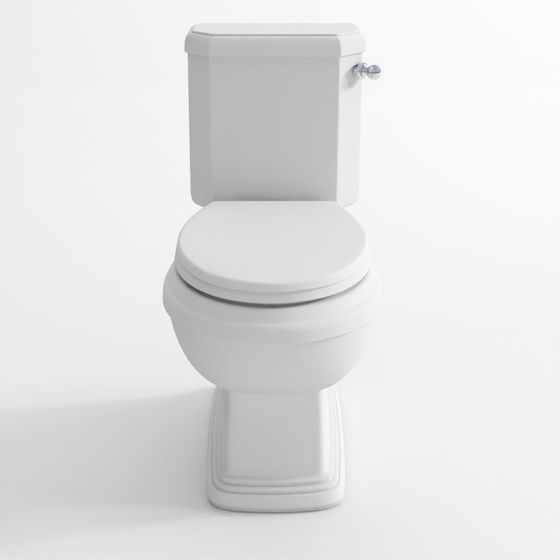 Rimless bowl with side flush cistern