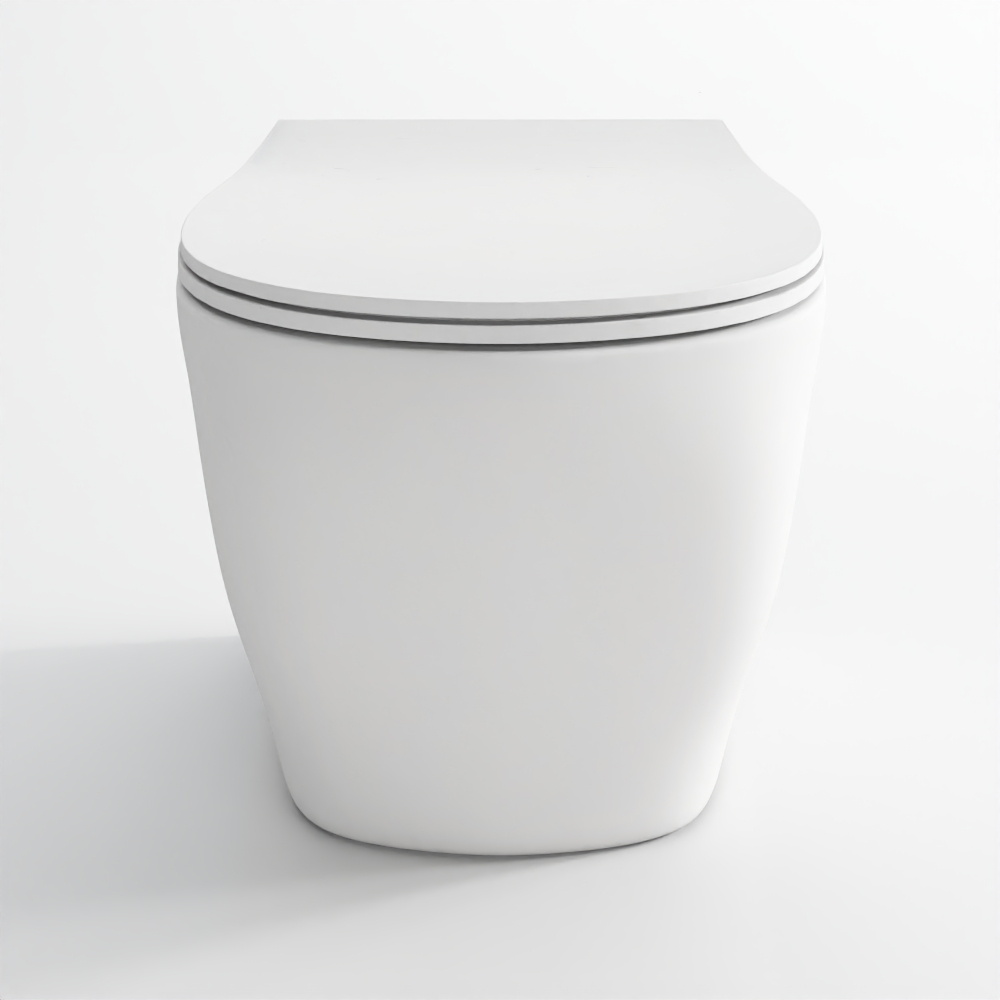 Rimless, Blind Installation Wall Hung WC