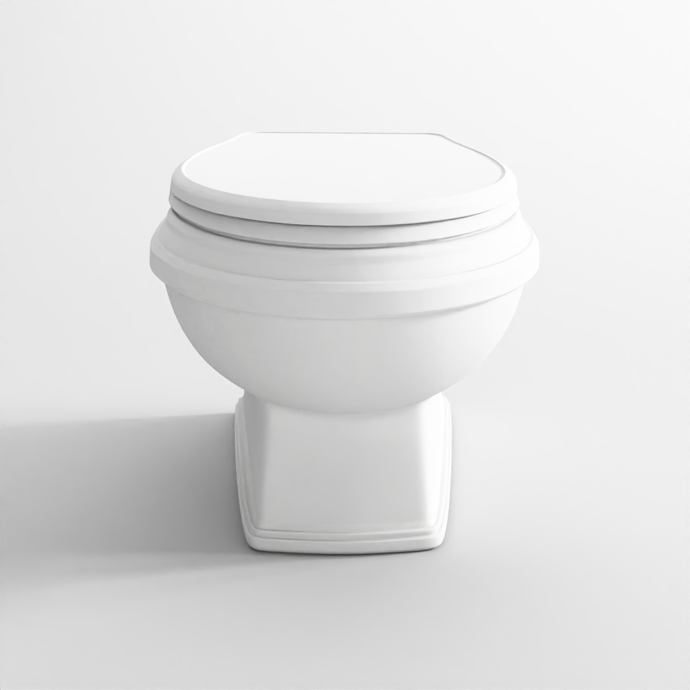 Rimless wall hung WC