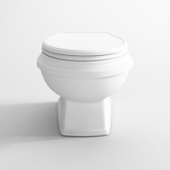 Rimless wall hung WC