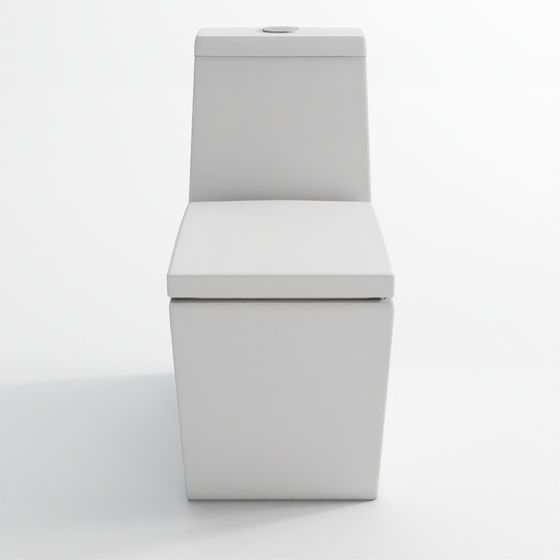 Jaquar Single Piece WC