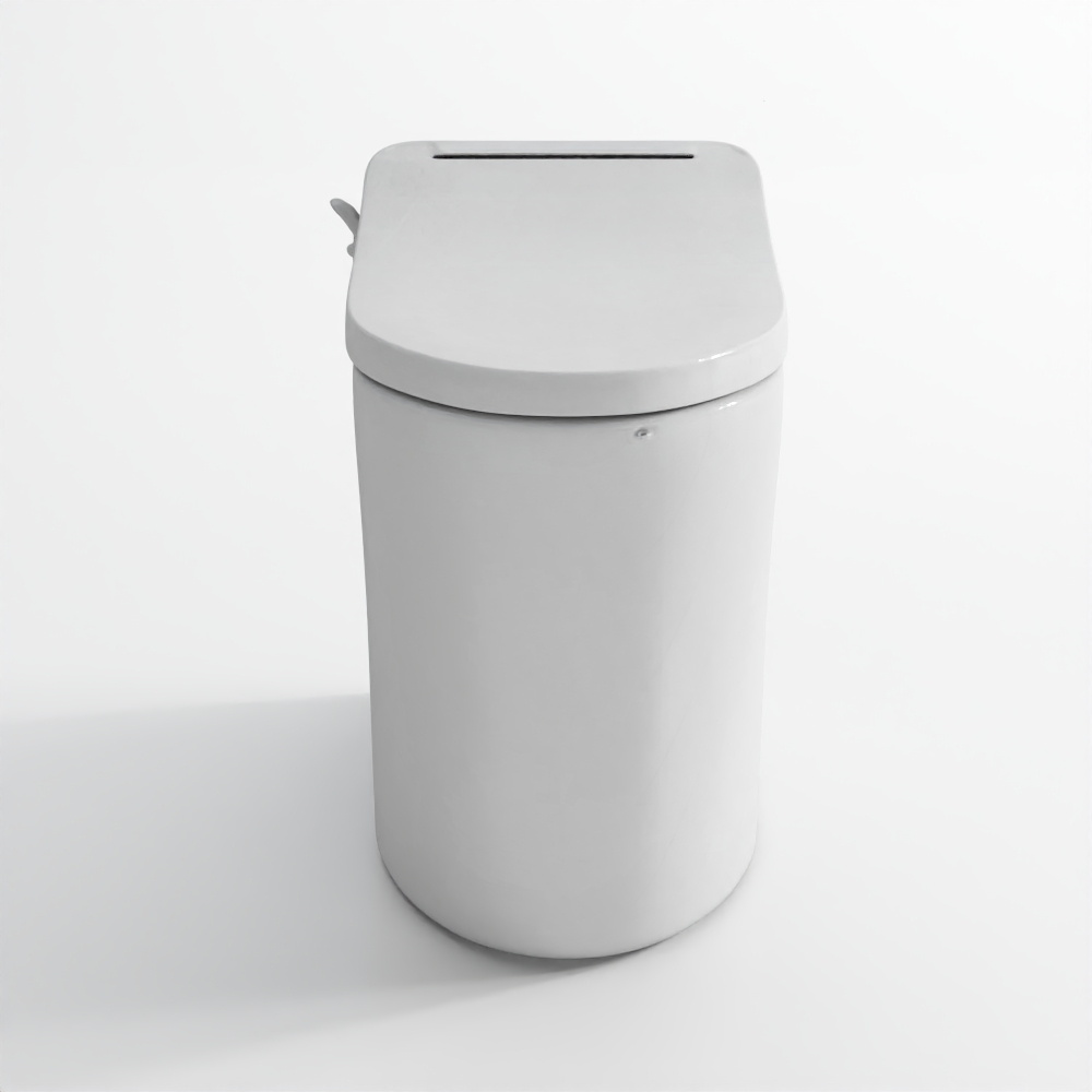 Bidspa Rimless Back to Wall WC