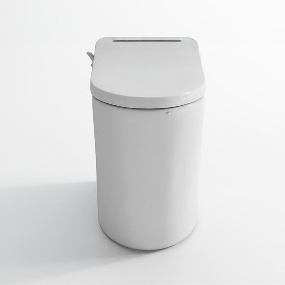 Rimless Back-to-Wall Toilet