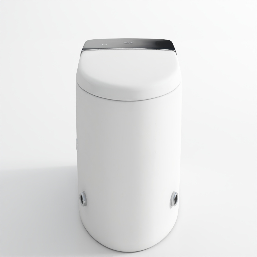 Fully Automatic Rimless Floor Mounted WC