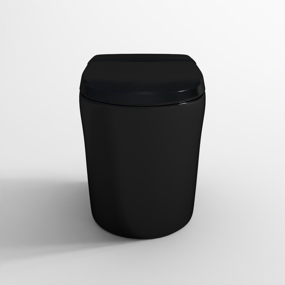 Fully Automatic Rimless Floor Mounted WC - Black Matt