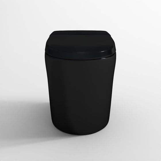 Fully Automatic Rimless Floor Mounted WC - Black Matt