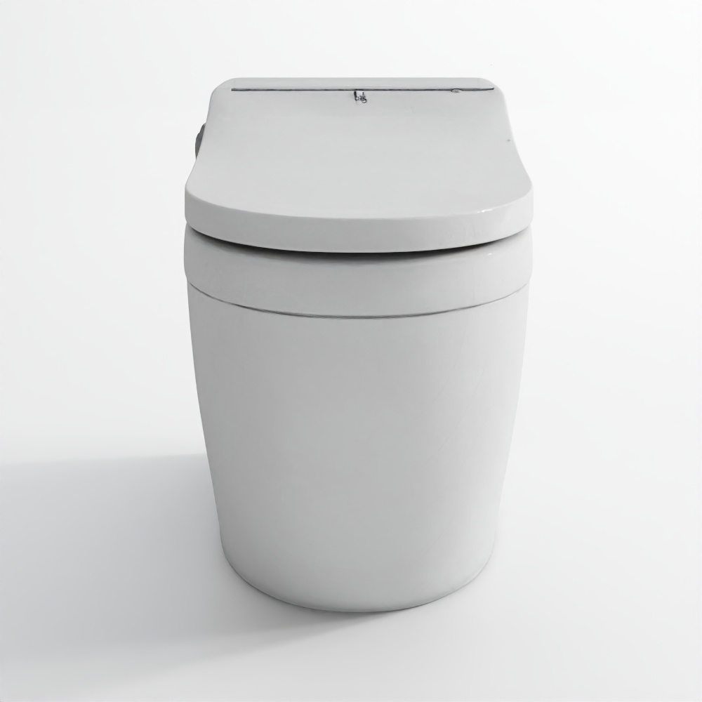 Bidspa Rimless Back to Wall WC-2