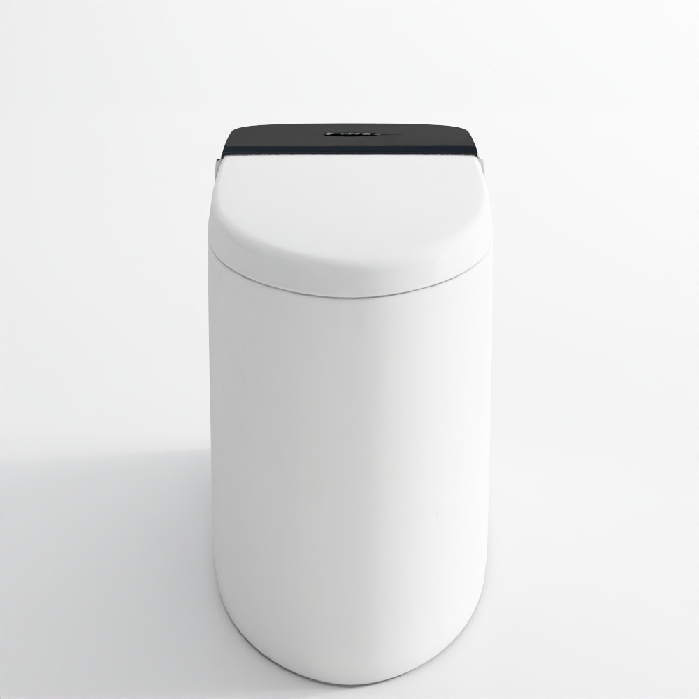 Automatic Rimless Floor Mounted WC