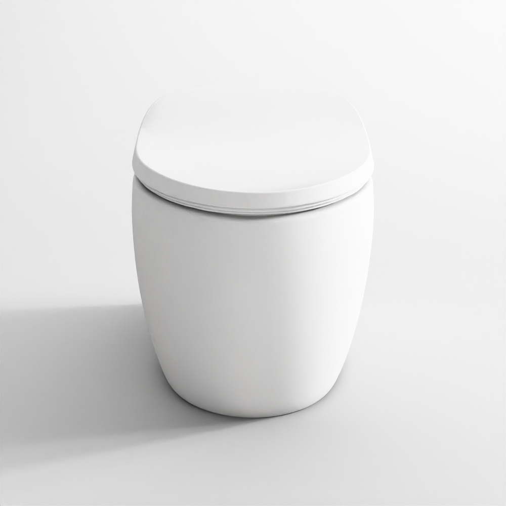 Jaquar Bidspa Rimless Wall Hung